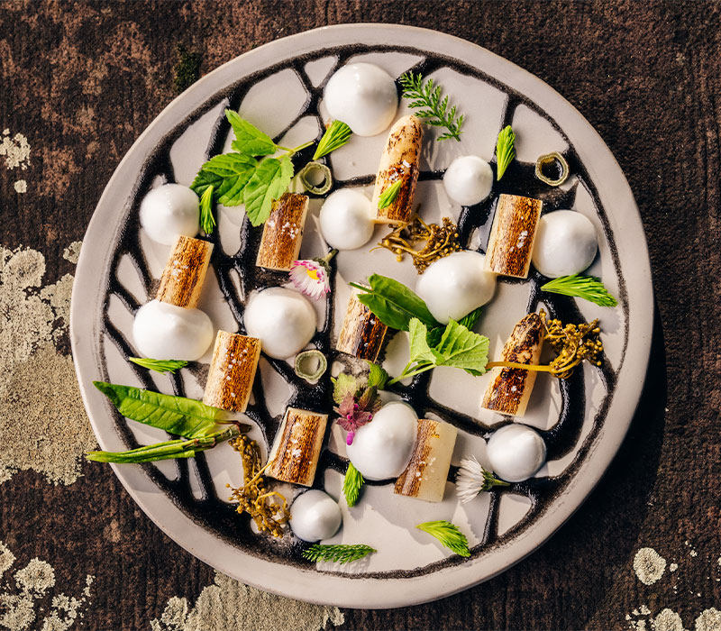 Im Oben in Heidelberg serviert Küchenchef Robert Rädl Spargel mit Holzkohlearomen, Holunder-Heuasche-Marinade und Spargel-Kefir-Schaum © Robert Rädl / Oben