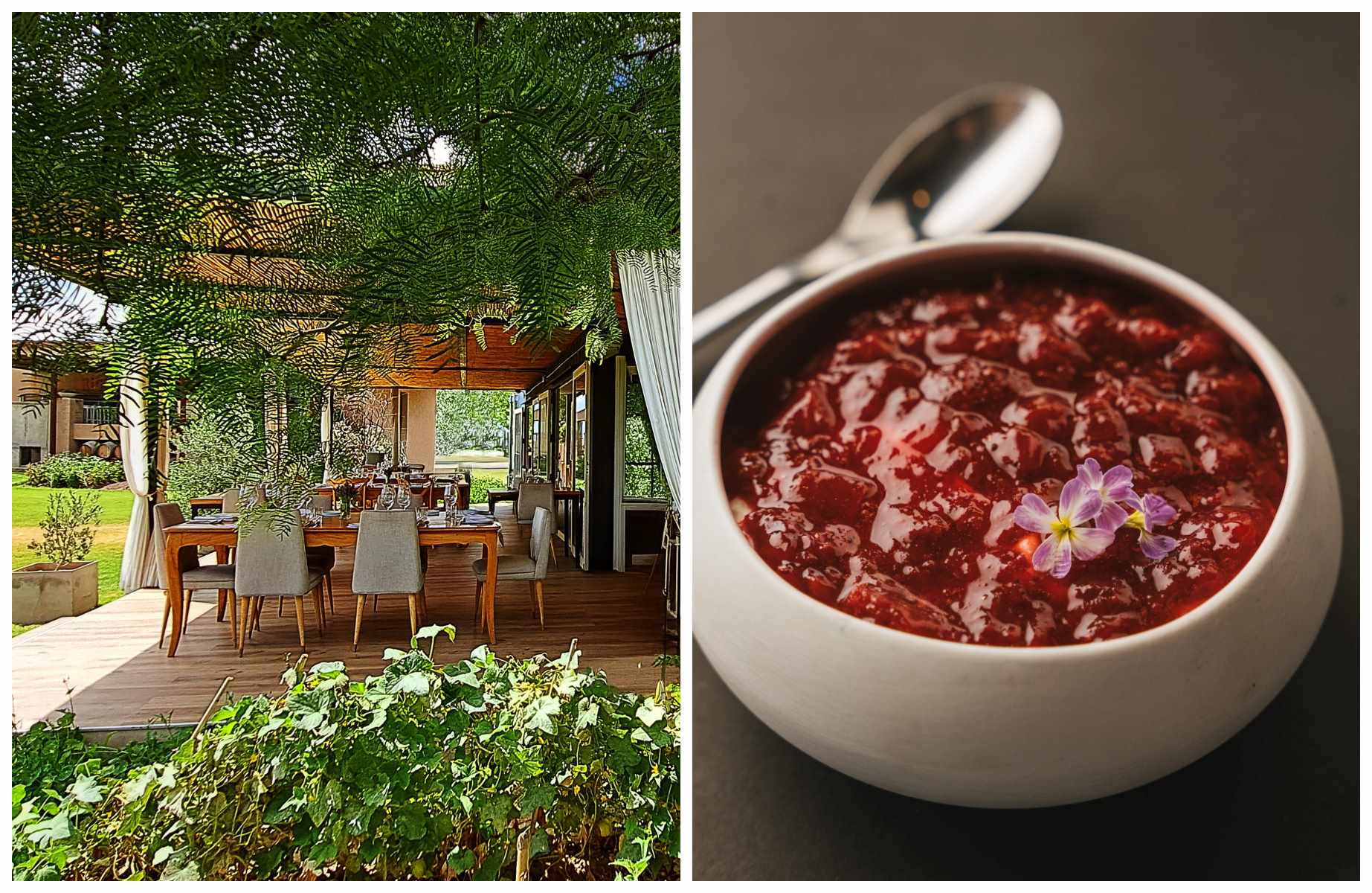 Das Riccitelli Bistró liegt inmitten von Weinbergen und bietet saisonale Gerichte, die von der Umgebung inspiriert sind. ©Martin Orozco/Riccitelli Bistró