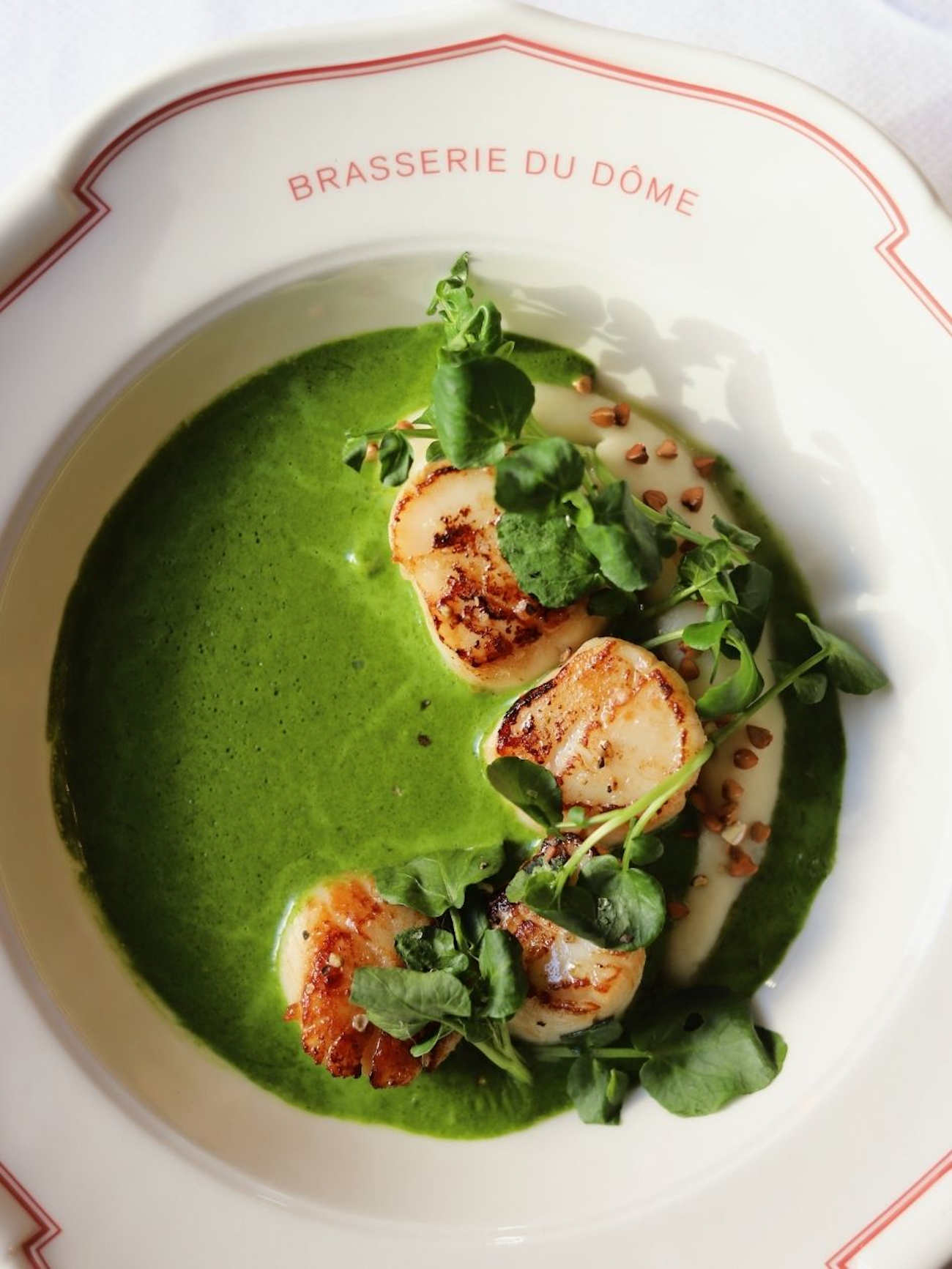 Nouveau à Anvers : La Brasserie du Dôme. © Louchébem