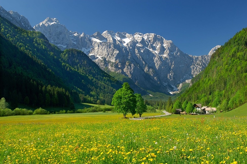 Ein ruhiger alpiner Rückzugsort, umarmt von mächtigen Bergen und unberührter Natur. © Hotel Plesnik