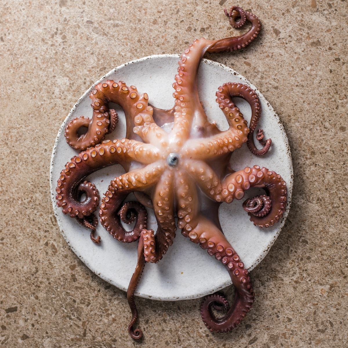 Ingrediente muito presente, o polvo mostra como o mar segue ditando o ritmo — e o sabor — das mesas do Rio. © gorchittza2012/iStock