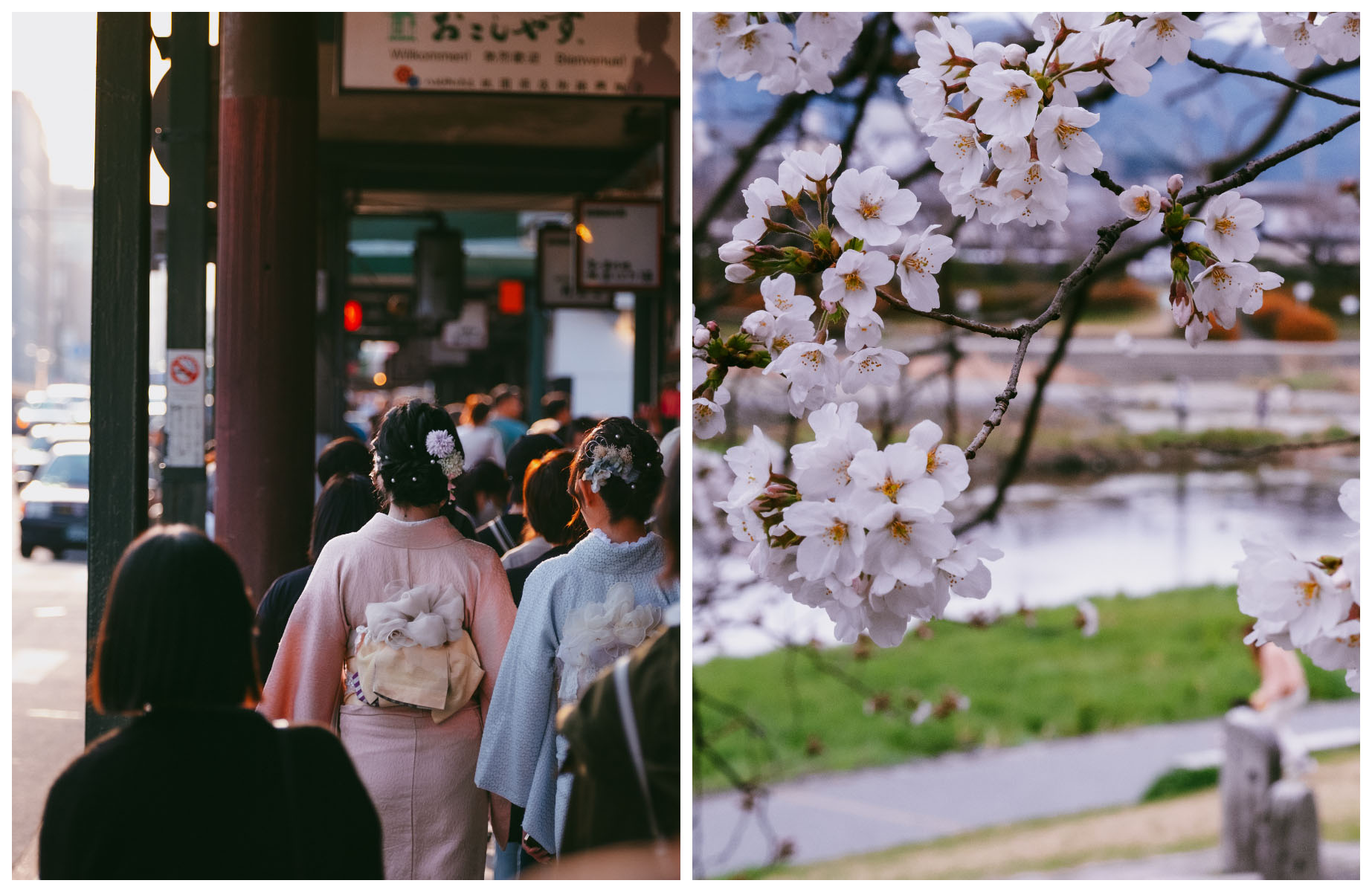 Don’t miss the Miyako Odori Geisha Dance, part of Kyoto’s spring festivals. © Two Left Hands/MICHELIN Guide