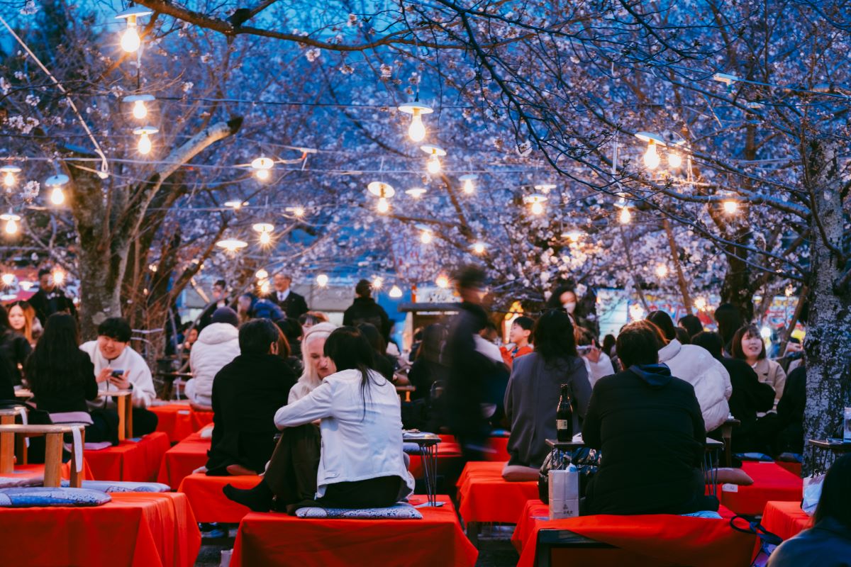 Across the city, temples, shrines and gardens stage evening illuminations, casting sakura in a soft otherworldly glow. © Two Left Hands/MICHELIN Guide