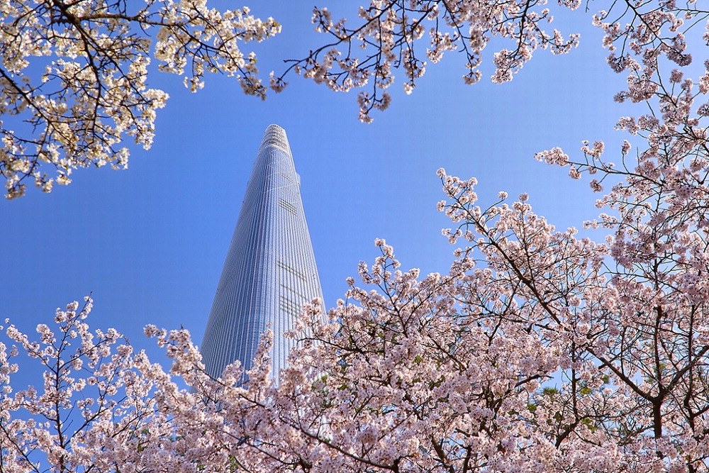 A Two MICHELIN Key stay soaring above Seoul, with panoramic views over cherry blossom-lined Seokchon Lake. © SIGNIEL Seoul