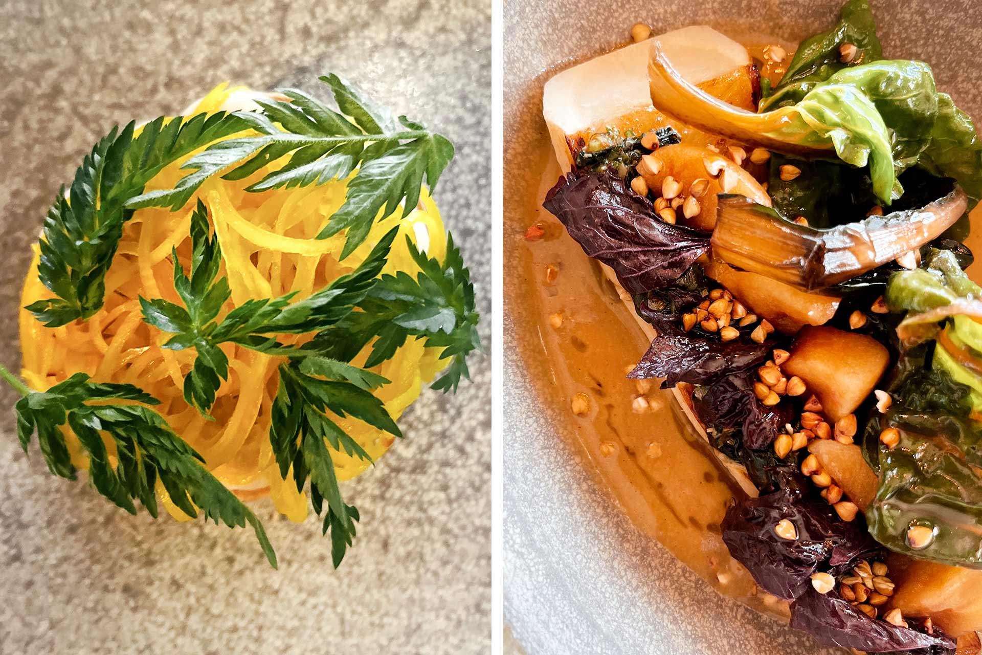 A bright dish and a beet dessert with kasu caramel. apples and sweet cicely. © Pricilla Deo/Folke