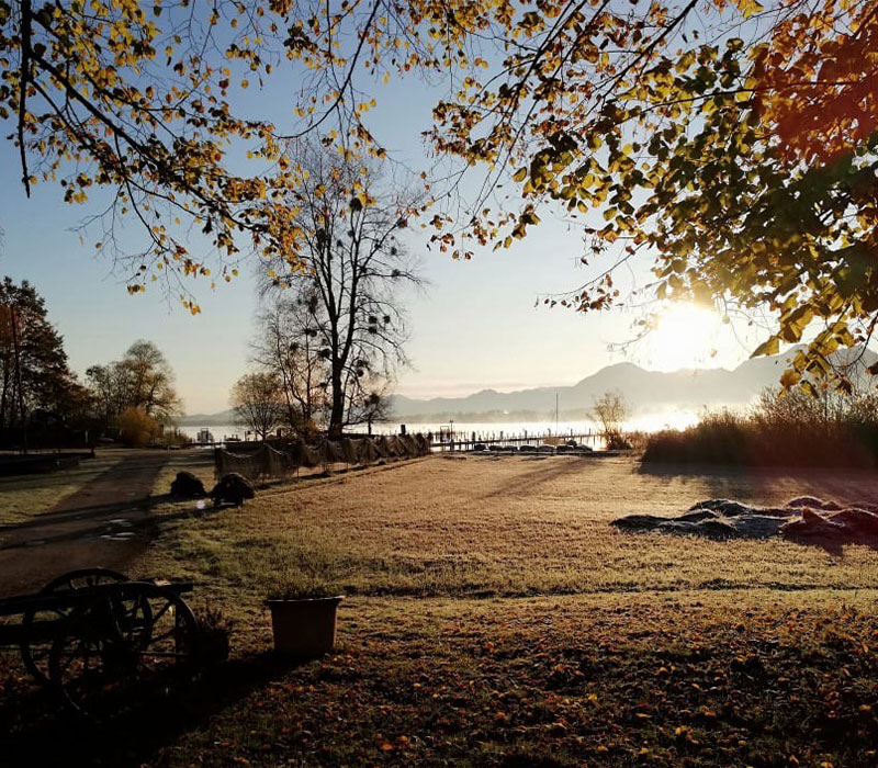 Nur einen Steinwurf vom See entfernt: im "Zum Fischer am See" kommt der Fisch selbstverständlich aus dem Chiemsee © Zum Fischer am See