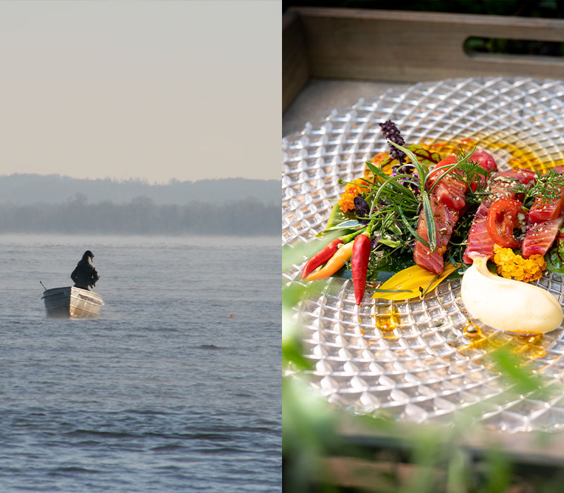 Bestes aus dem Chiemsee - frisch und modern zubereitet © Zum Fischer am See