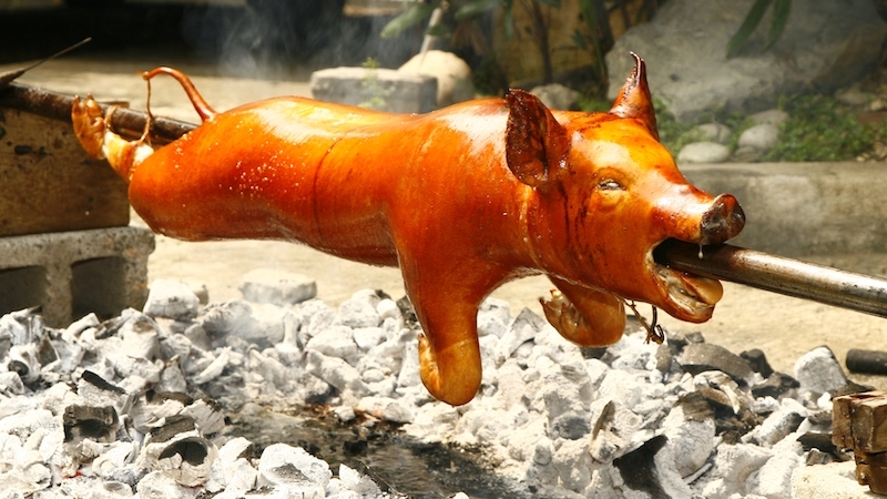 Lechon is a whole pig slow-roasted over open coals on a bamboo spit, a communal, ceremonial process that yields its prized crackling skin and marks the centerpiece of any Filipino feast. © Light Independent