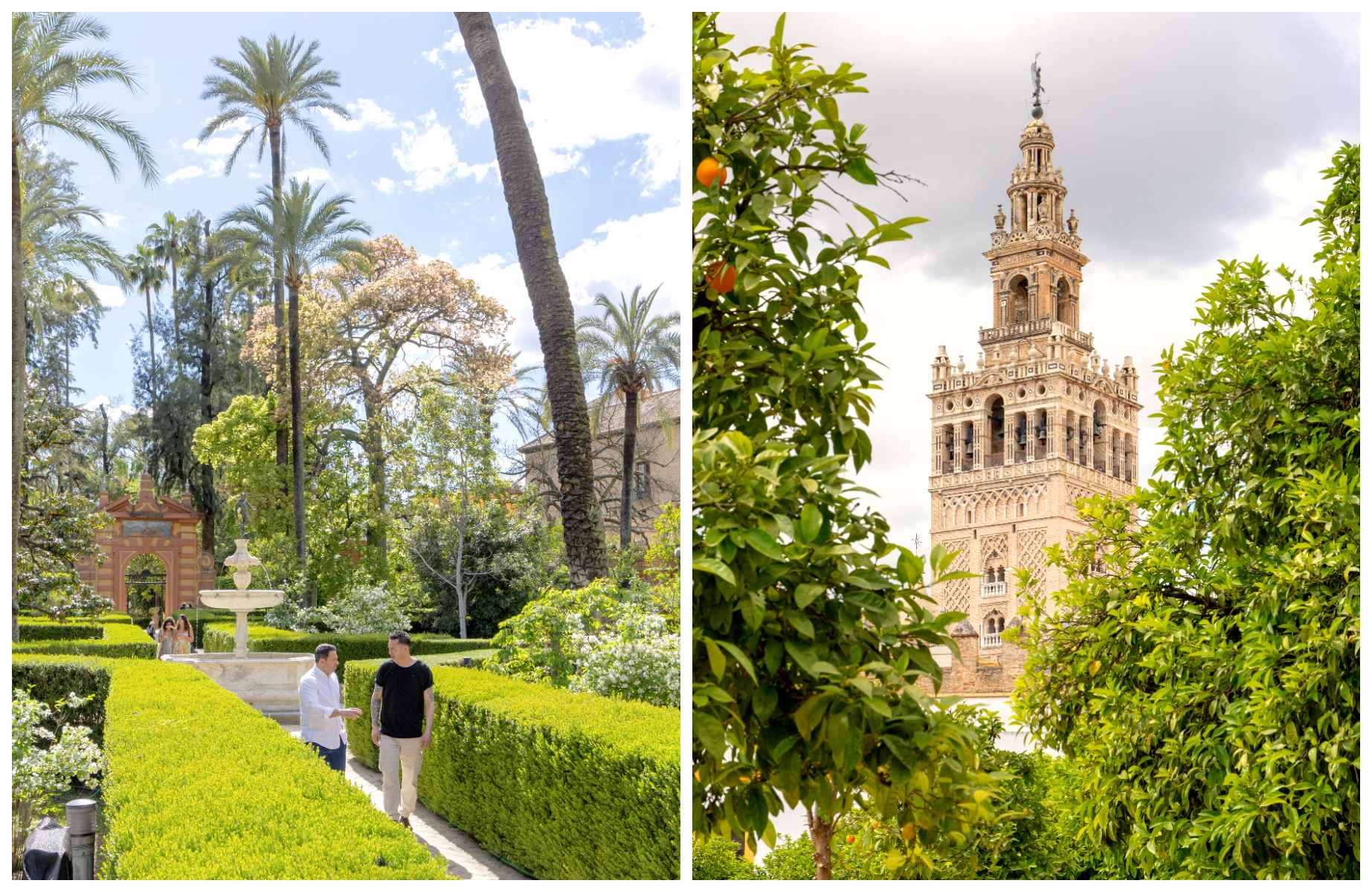 Les jardins de l’Alcázar et de la Giralda : deux instantanés sévillans qui résument l’âme et l’héritage d’une ville. © MICHELIN Guide