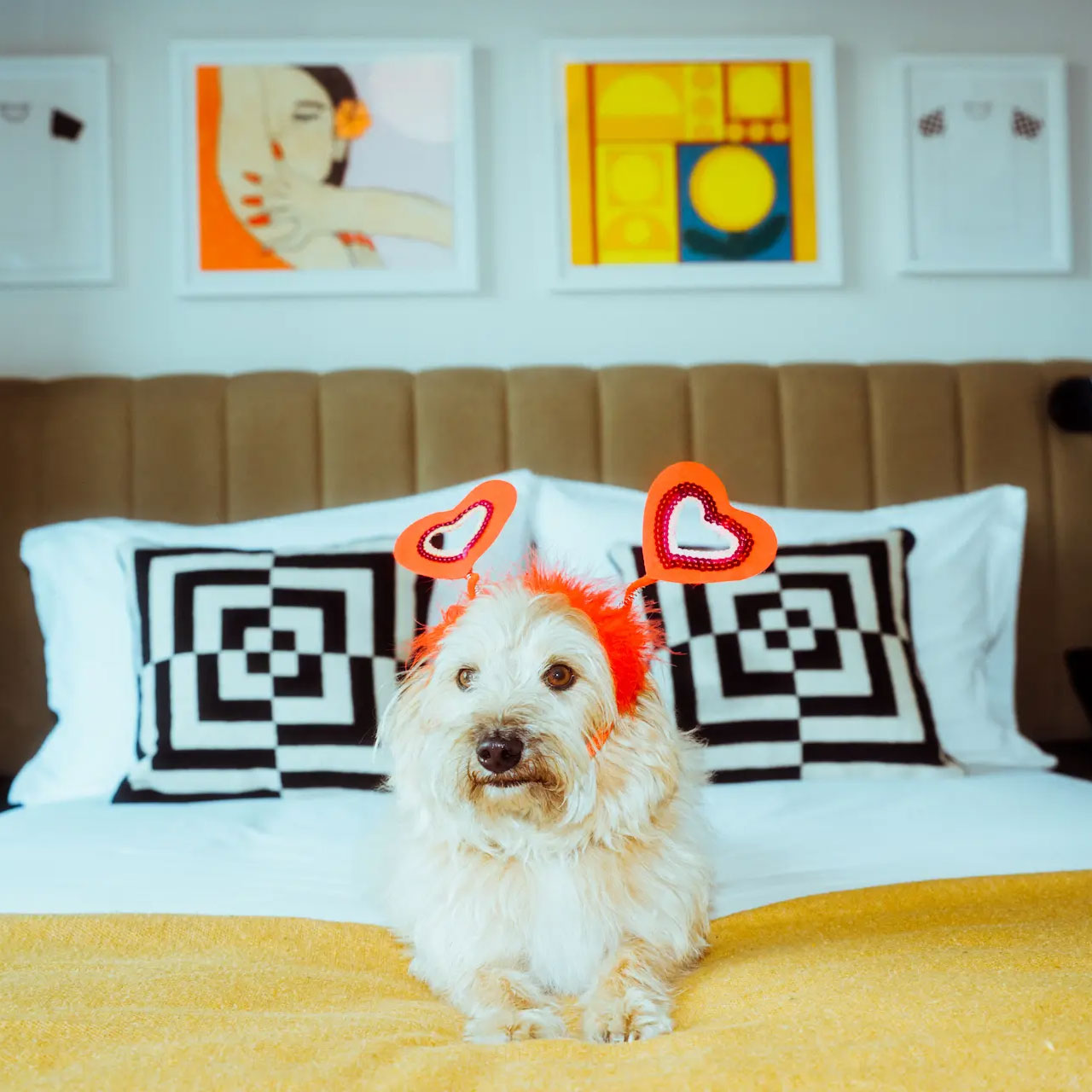 Budget‑friendly, design‑forward and no pet fee at Penny Williamsburg in Brooklyn. © Penny Williamsburg