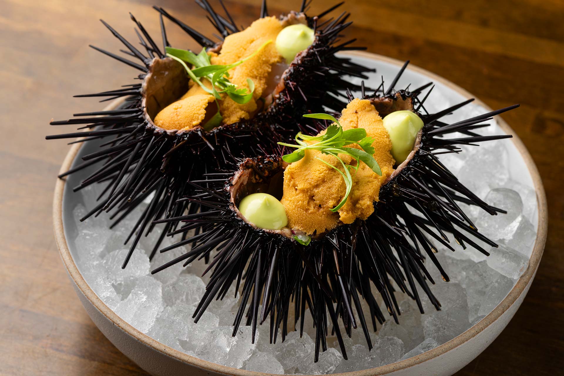 Live sea urchin. © Wonho Frank Lee