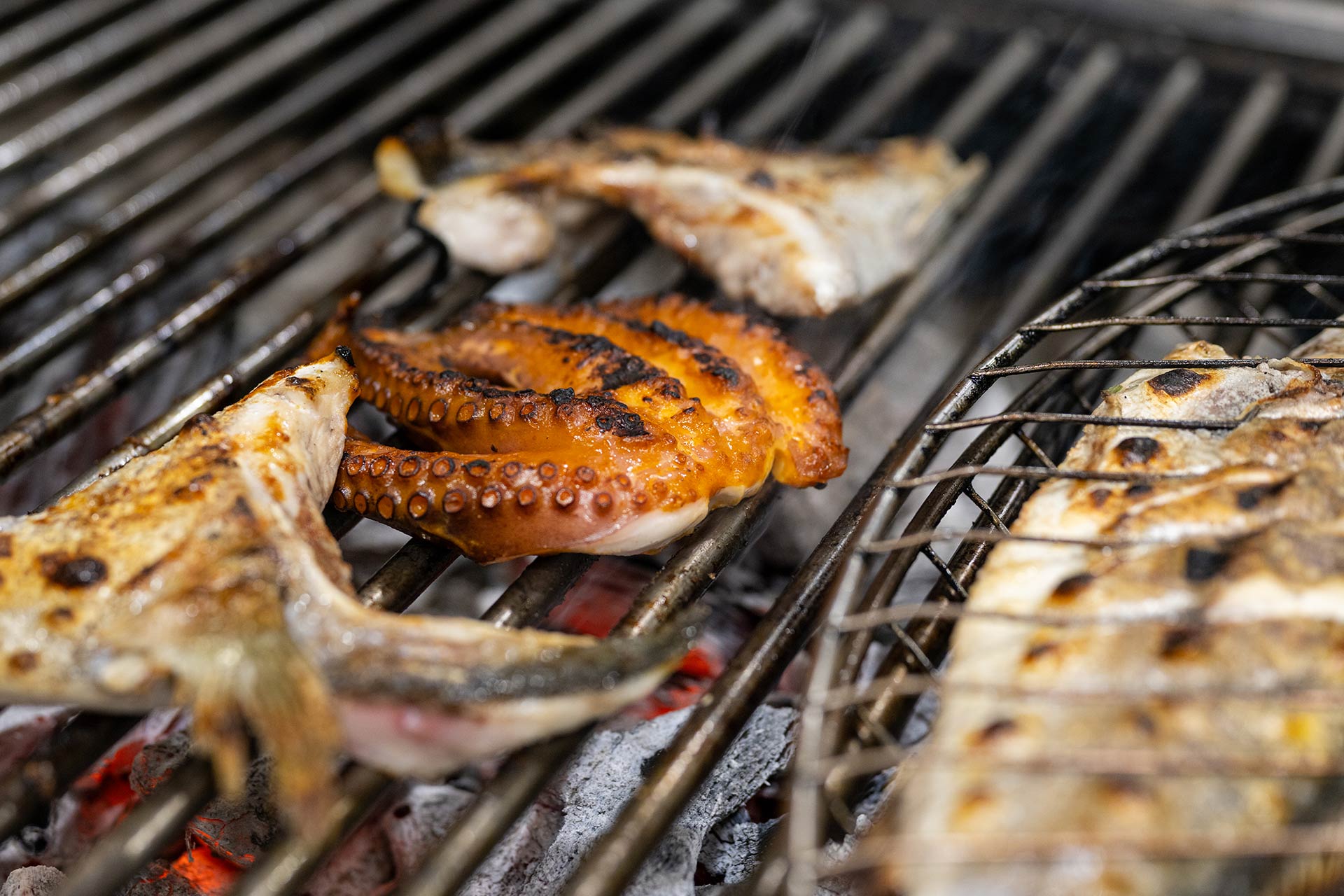 Chargrilled octopus and kanpachi collars at Holbox. © Wonho Frank Lee