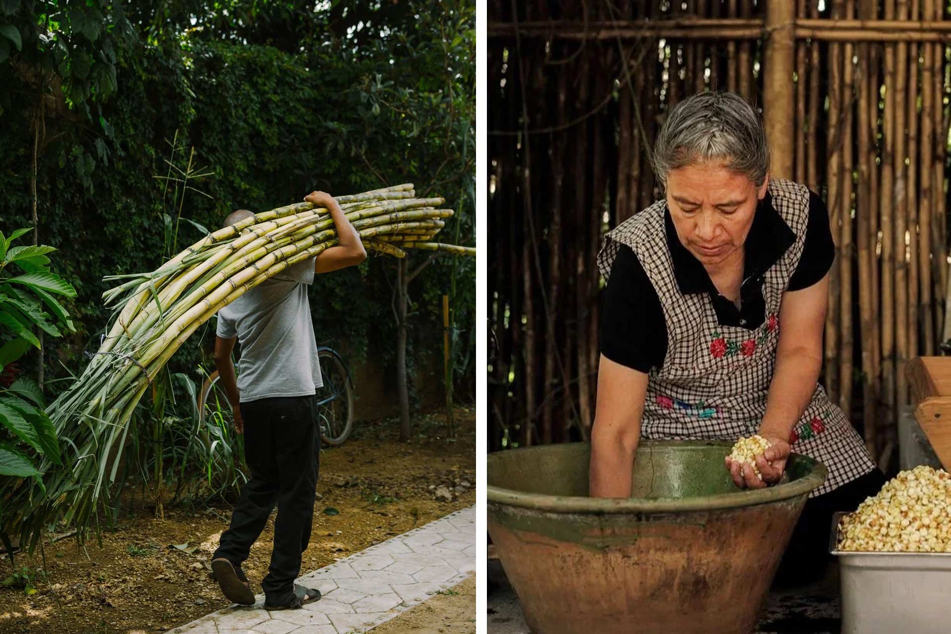 Teamwork: Chef Jorge gathers up the sugar cane while his mother Elvia, forms the masa. © Andrea Cinta | © Erik Leyva/Alfonsina