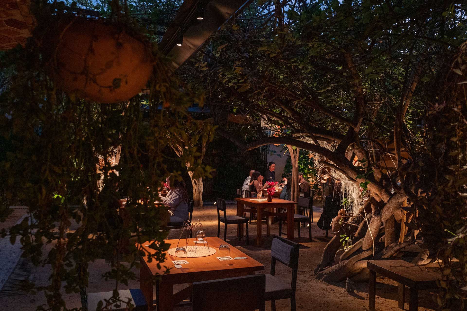 The homey patio of Alfonsina. © Tony Petate/Alfonsina