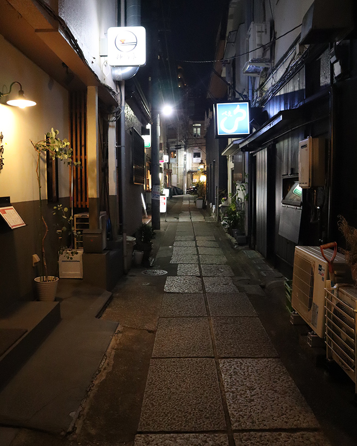 東京-荒木町-夜の路地-石畳-看板の明かり-tokyo-arakicho-night-alleyway-stone-pavement-lit-signs.jpg