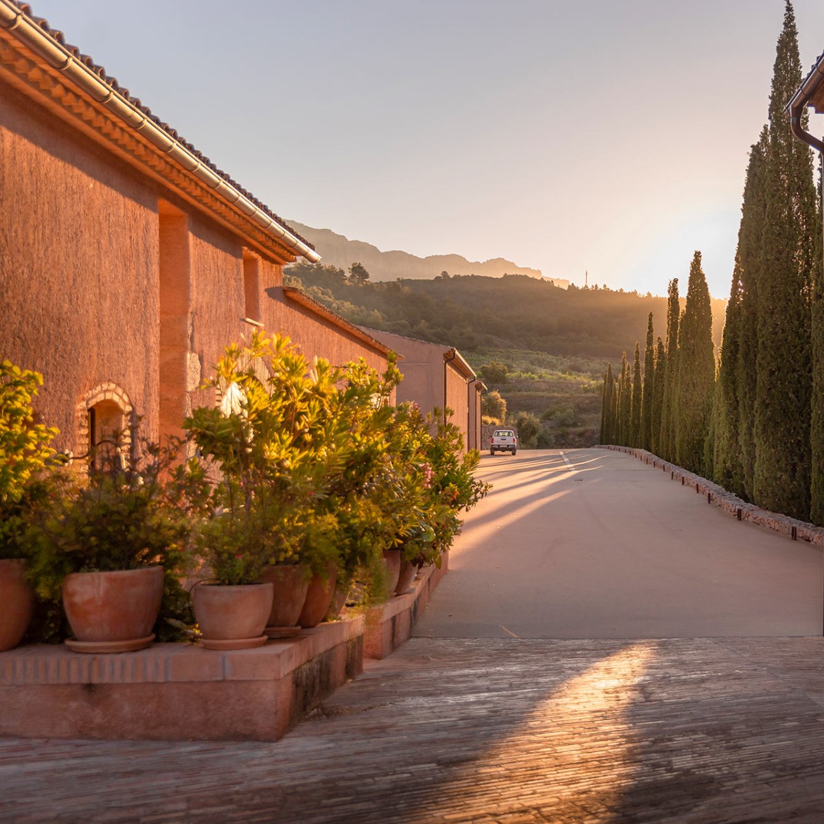Terra Dominicata, monasterio cartujo con tres Llaves MICHELIN, es un auténtico refugio entre montañas. © Terra Dominicata - Hotel & Winery