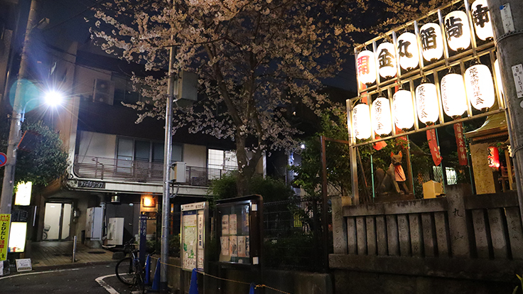 Cherry blossom in Araki Park, beside Kanemaru Inari Shrine (© Suma Wakui / the MICHELIN Guide)