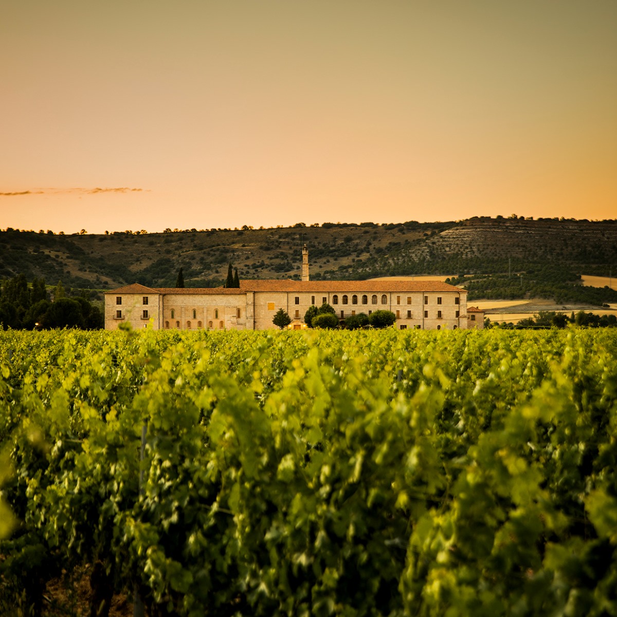 La bella construcción románica sobre la que se alza el hotel Abadía Retuerta está rodeada de 500 hectáreas de viñedo. © Abadía Retuerta LeDomaine