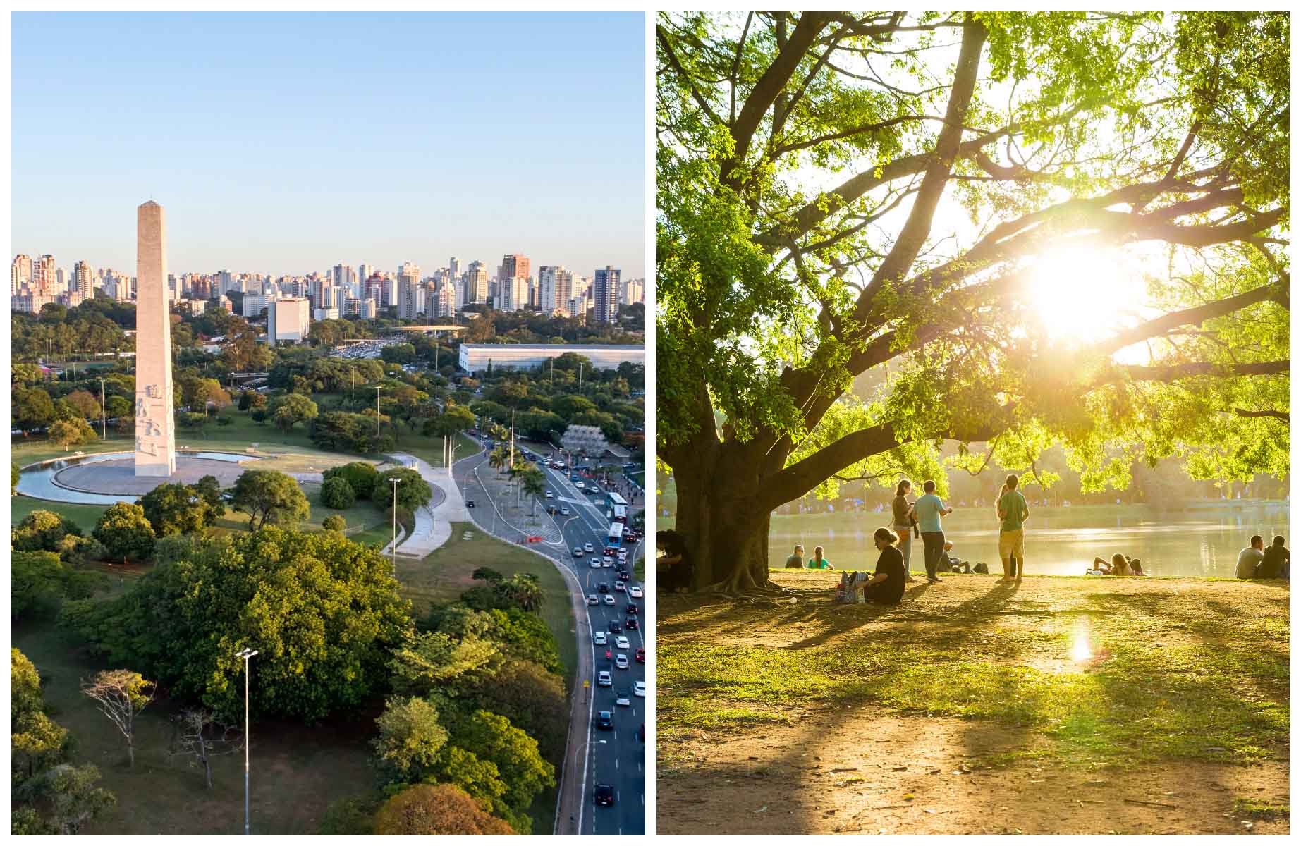 Le Parc Ibirapuera, poumon vert de la ville, abrite plusieurs hauts lieux culturels. © cifotart/iStock, © filipefrazao/iStock