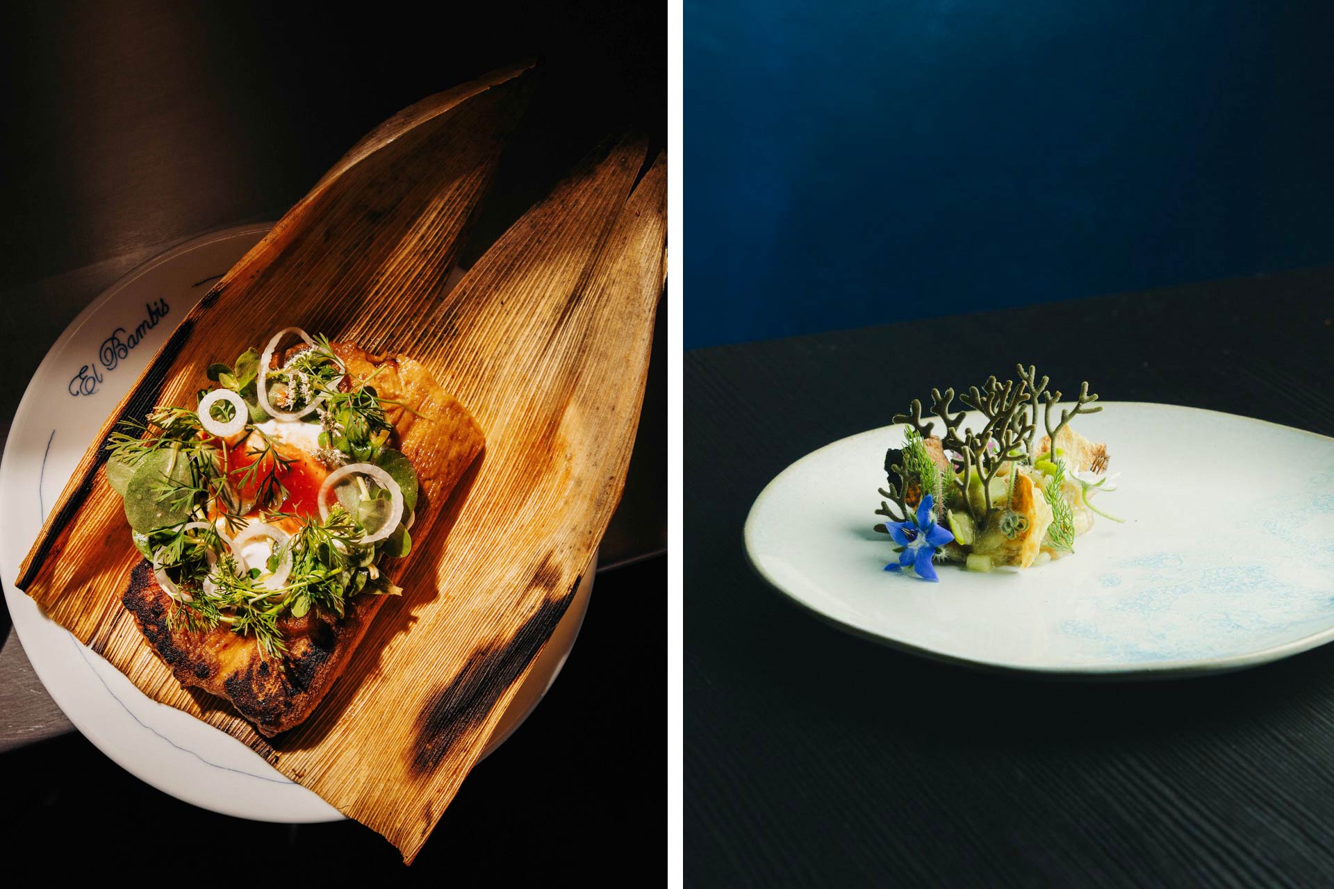Tamal from El Bambis Café and dish based upon Spring from Cultivo. © Hane Garza/El Bambis Café | © mike mb/Cultivo