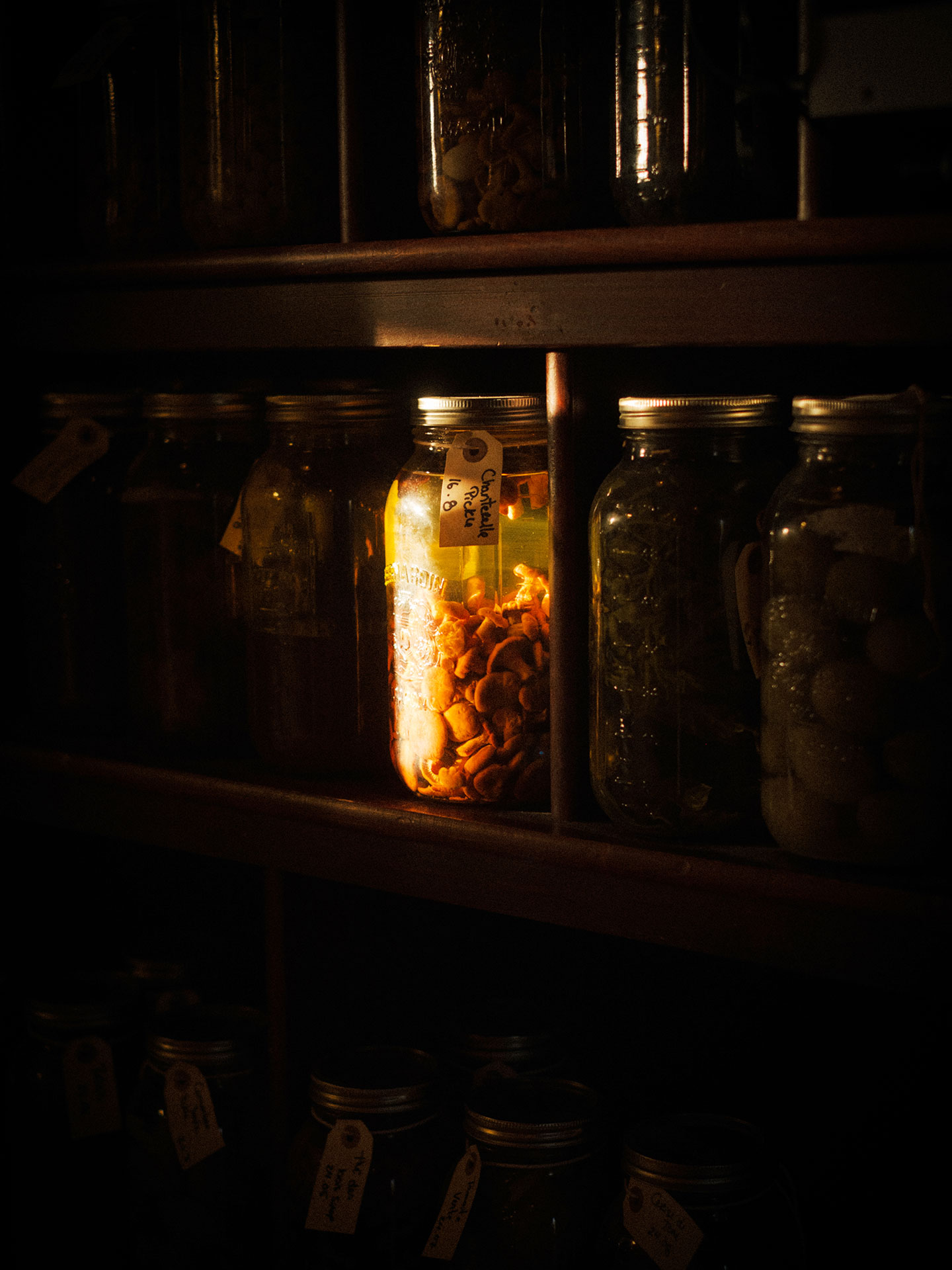 Preserved chanterelles. © Émile Desroches
