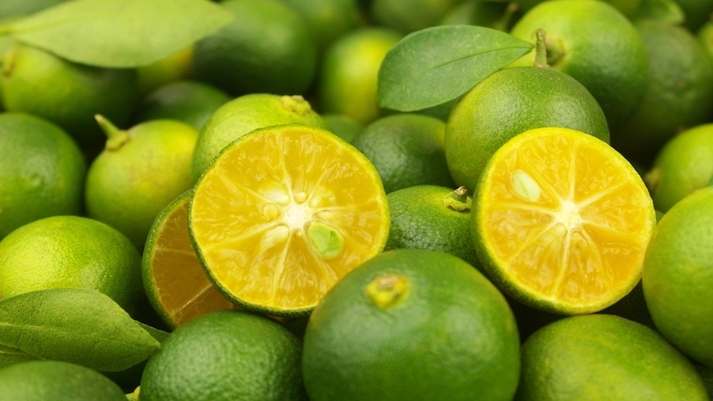 Small enough to fit in the palm of your hand, calamansi brings a bright, floral sharpness to Filipino cooking — squeezed over sisig, stirred into sauces or added to bowls of lugaw and pancit for lift. © Valery Evlakhov