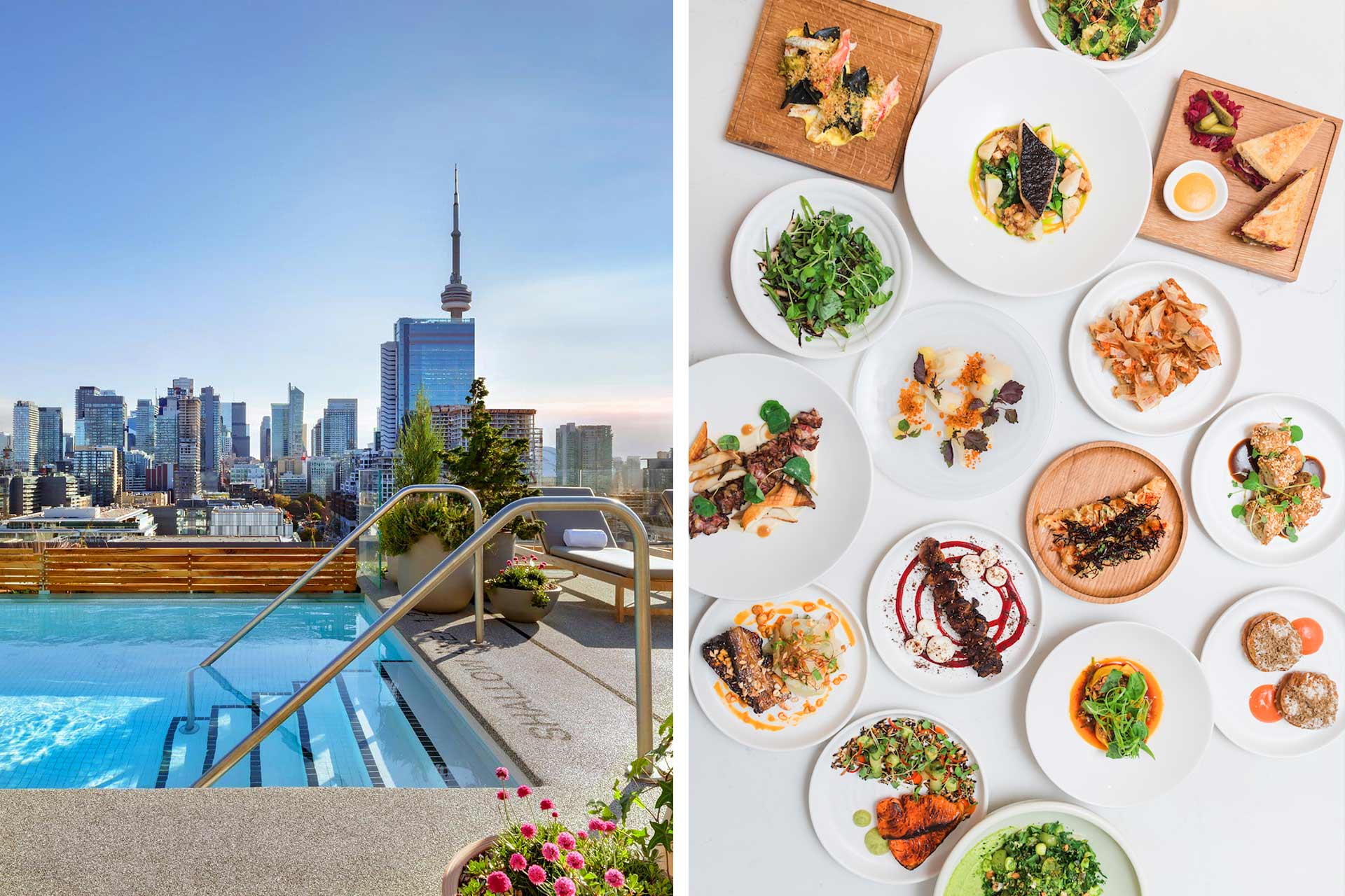 1 Hotel Toronto rooftop pool and dish spread at SARA. © 1 Hotel Toronto | © Kristina Ruddick/SARA