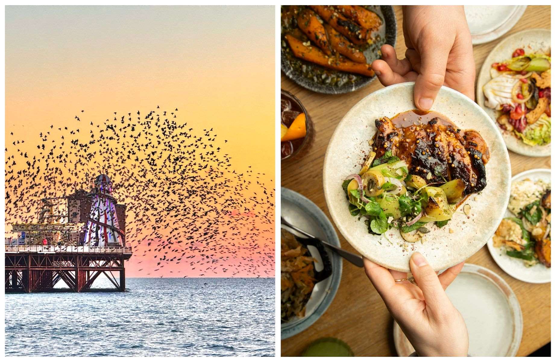 A flock of birds off Brighton Pier and dishes being shared at Burnt Orange. © Nicola E./iStock, © Sam Morris/Burnt Orange