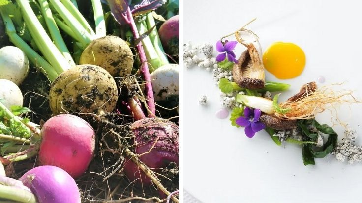 Yamato vegetables are Nara's regional heirloom vegetable varieties. Left: ©Villa Communico,  Right:© akordu 