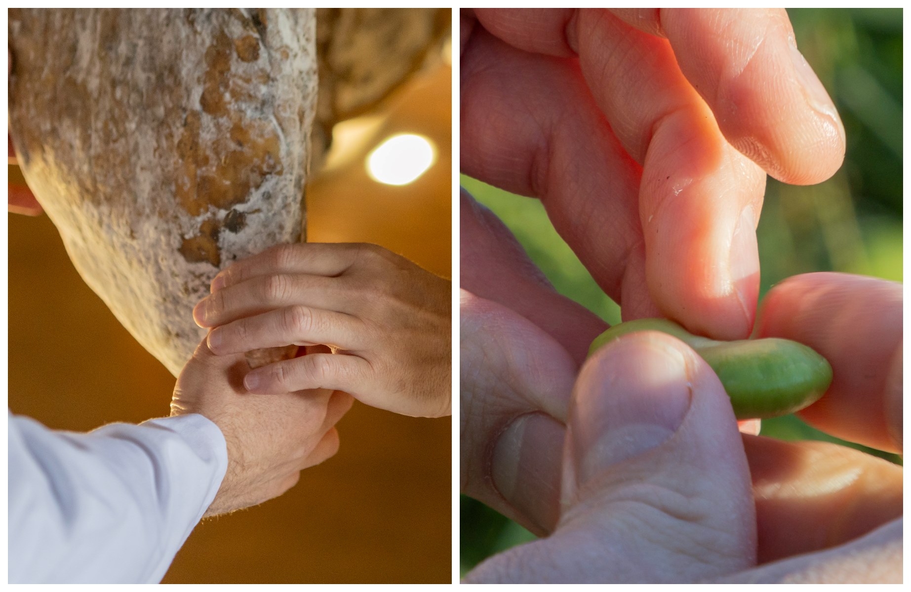 Le jambon ibérique, résultat de la symbiose entre climat, nature et savoir-faire. À droite, les haricots de la Finca Alfoliz, assaisonnés de menthe pouliot, sont l'un des plats emblématiques de la province. © Guide MICHELIN