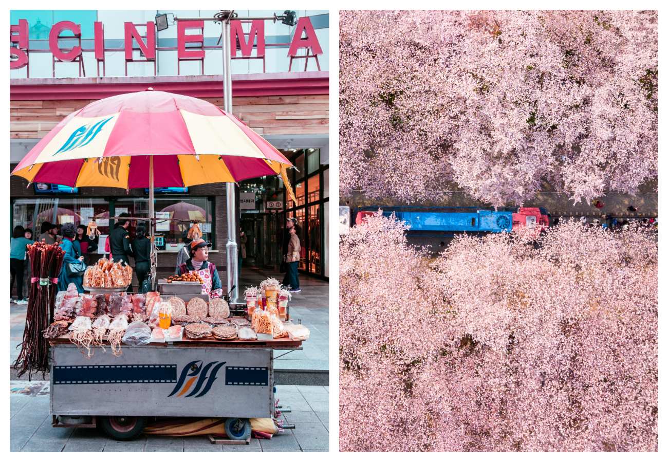 A street food stall in the Nampo-dong neighborhood and an aerial view of a train passing through cherry blossoms in Busan. © PixHound/iStock, © CJNattanai/iStock