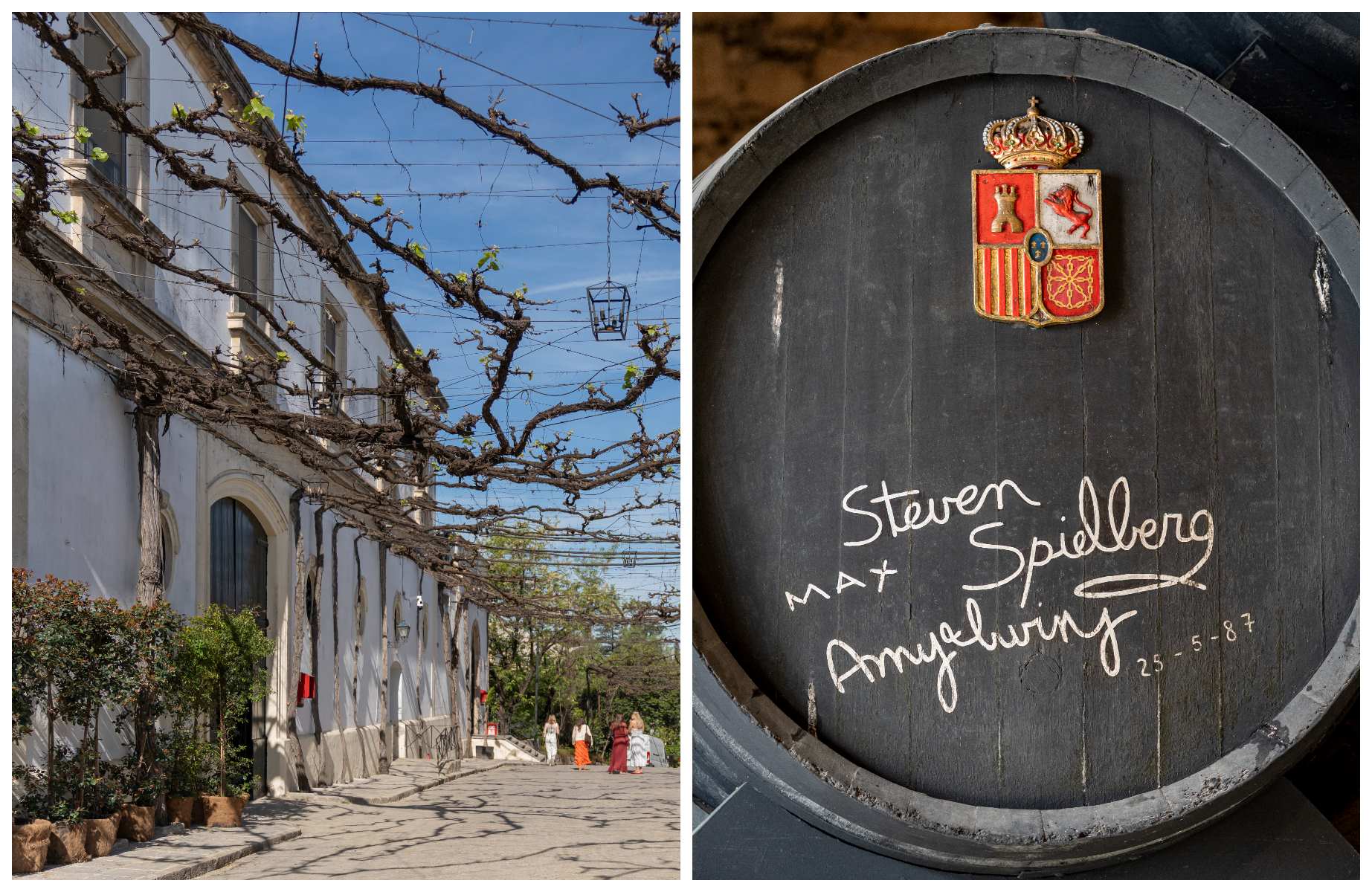 In the historic Tío Pepe cellars, with their whitewashed exteriors, there are barrels with names of their own, like this one signed by filmmaker Steven Spielberg, part of an exclusive collection. © MICHELIN Guide
