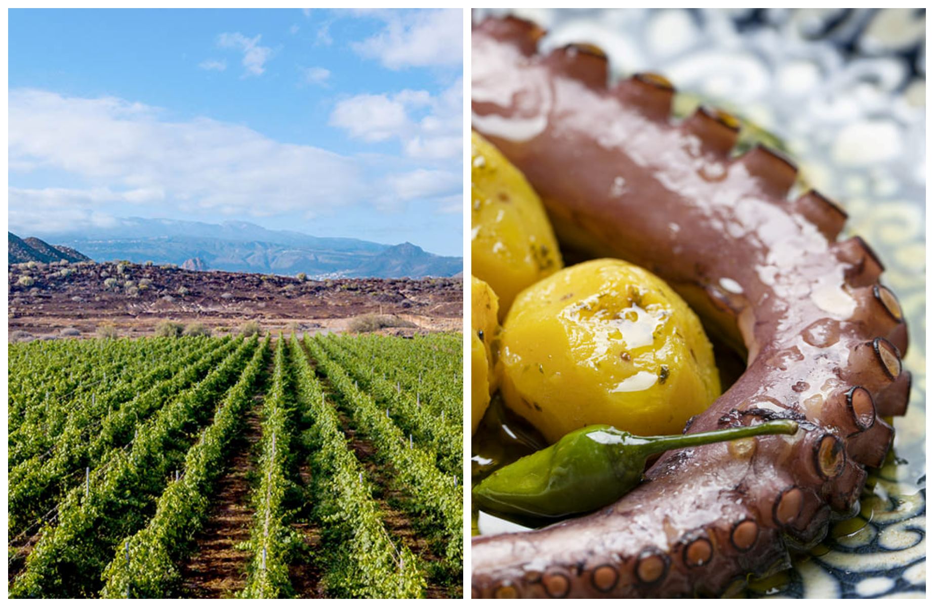 À gauche, les vignobles volcaniques de Tenerife ; à droite, le poulpe aux pommes de terre qui reflète l’âme contemporaine de la cuisine canarienne du Silbo Gomero. © lucigerma/iStock ; @f3photostudio/Silbo Gomero