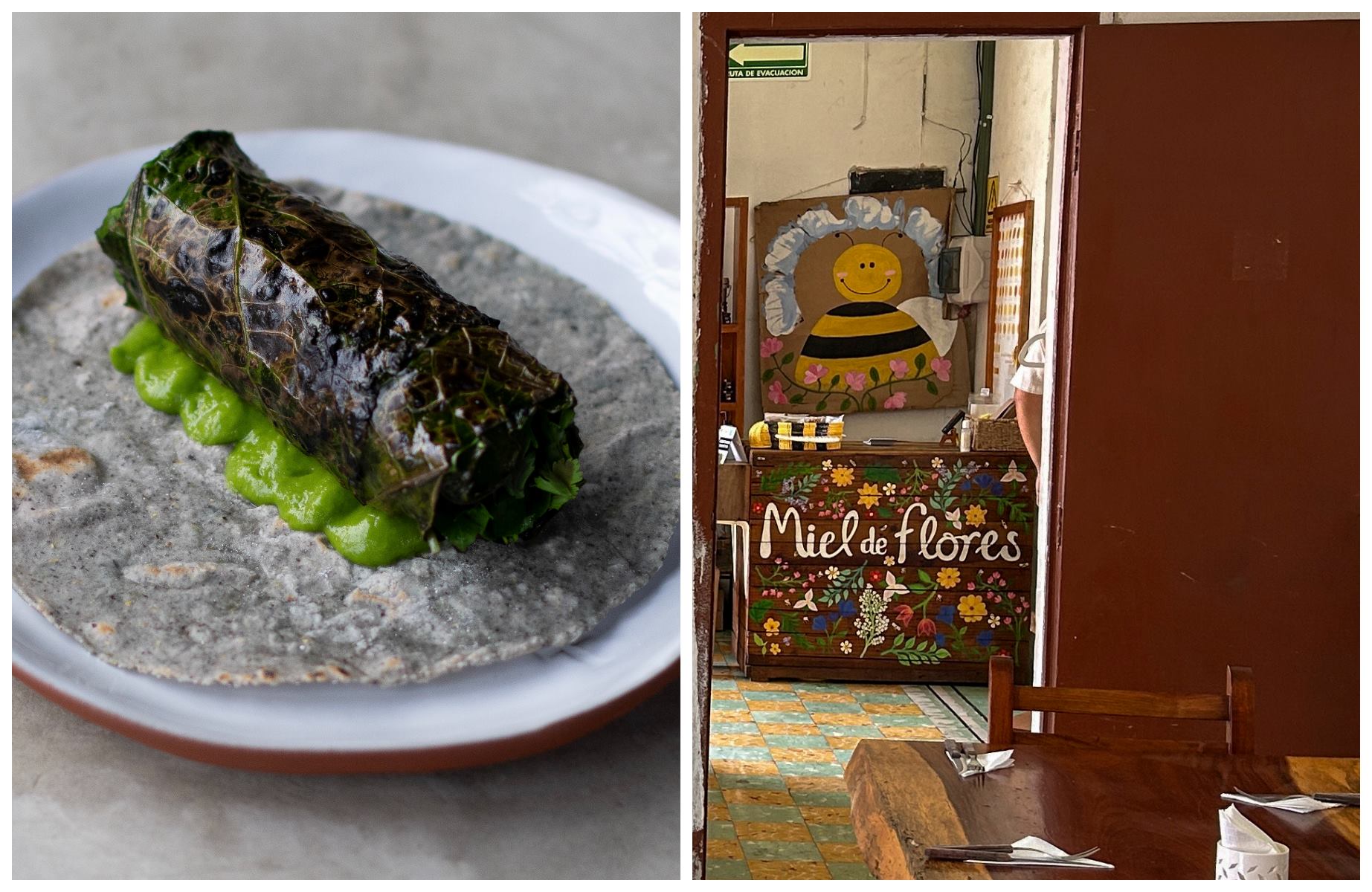 In Yucatán, La Barra de Huniik and Pancho Maíz highlight two distinct paths: chef-led creativity and a deep respect for the region’s maize heritage. © Maria Jose Garza/La Barra de Huniik | © JOSUE PUCH/Pancho Maiz