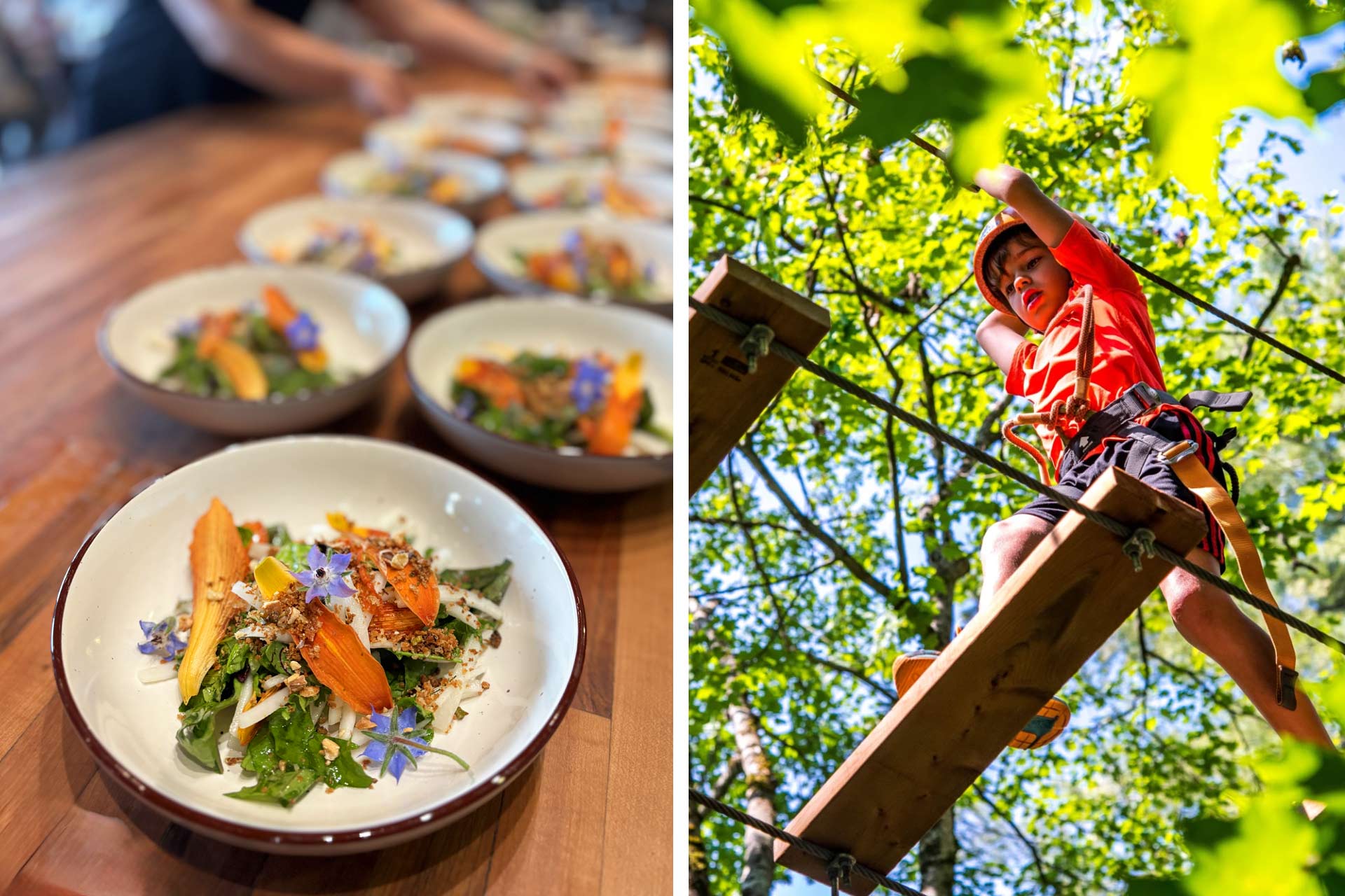 Dinner at Huit 100 Vingt, where 80% of your plate is sourced from the onsite farm and day-trip to Abraska rope park. © Huit 100 Vingt | © Arbraska - Rawdon