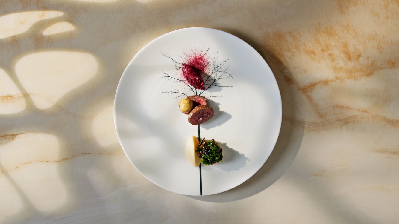 A refined, artistic composition with vibrant colors and modern plating on a minimalist white canvas. © Galerija okusov