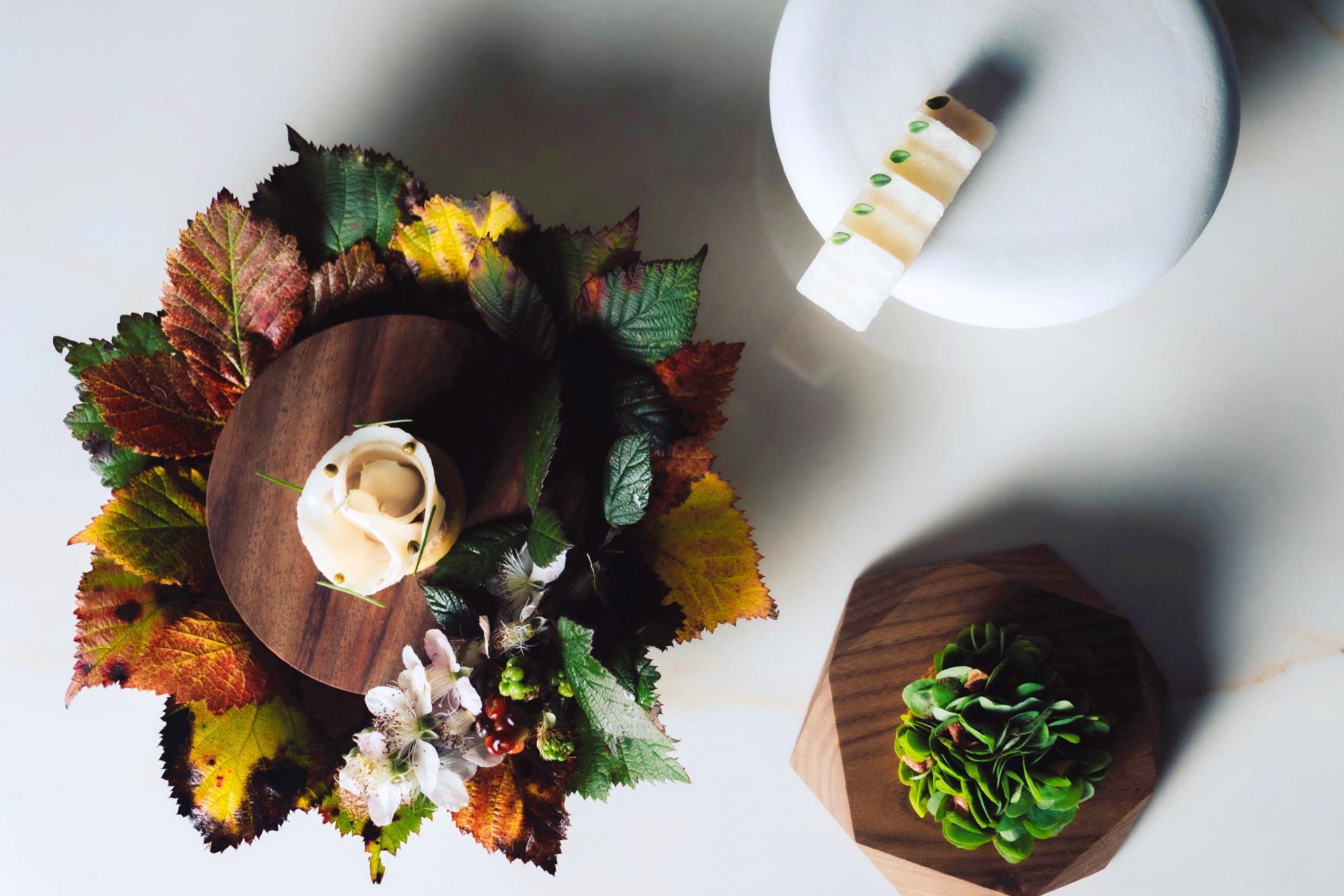 Tasting menu from Naides. © Alexa LexMex Treviño/Naides