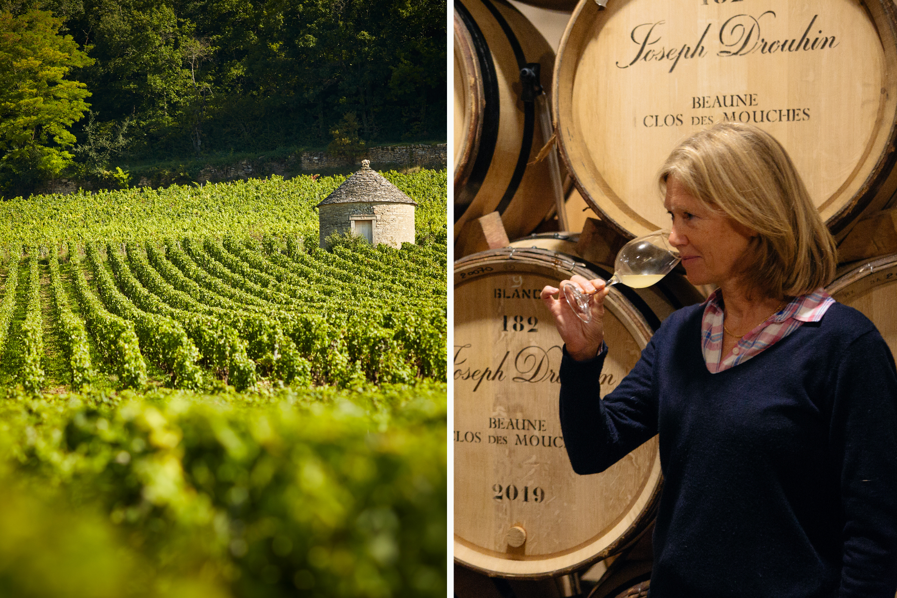 The Clos des Godeaux vineyard in Savigny-les-Beaune. Véronique Drouhin during a tasting. © Joseph Drouhin
