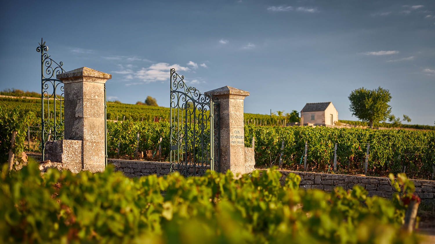 The MICHELIN Guide Is Set To Launch Its First Wine Selection in Burgundy on 7th July 2026