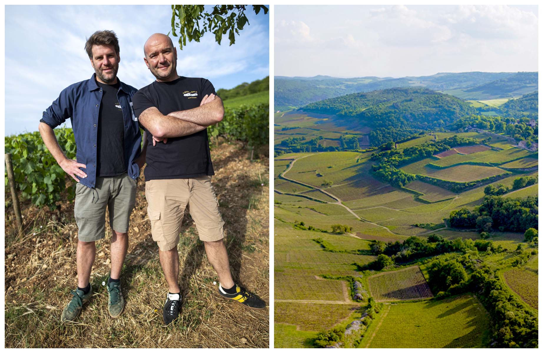 Franck and Frédérick Buisson and an aerial view of the domaine’s parcels. © Michel Baudoin 2026/MICHELIN Guide