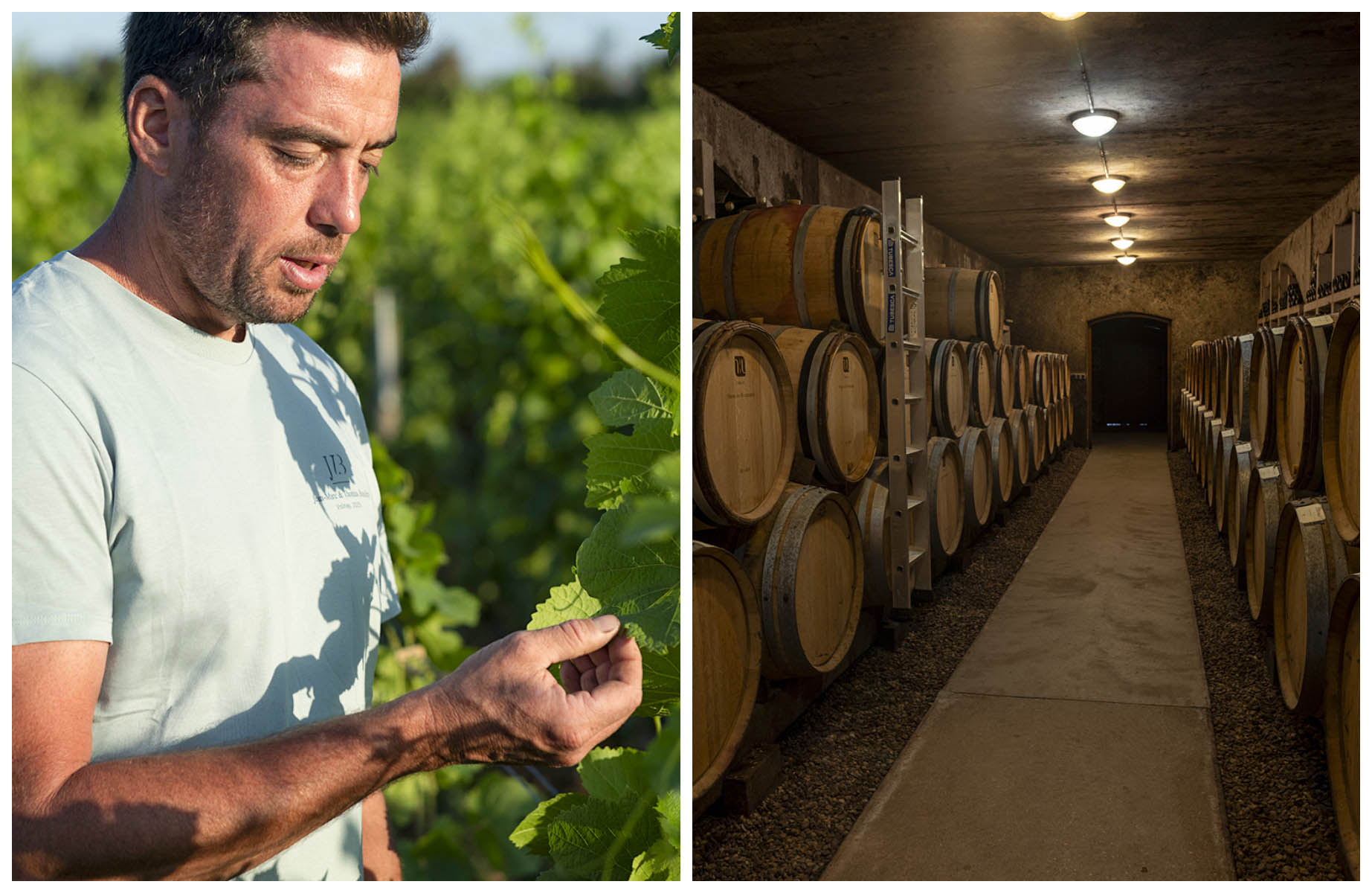 Thomas Bouley in his vineyards in Volnay. The cellars of the Hubert Lamy estate. © Michel Baudoin 2026/MICHELIN Guide