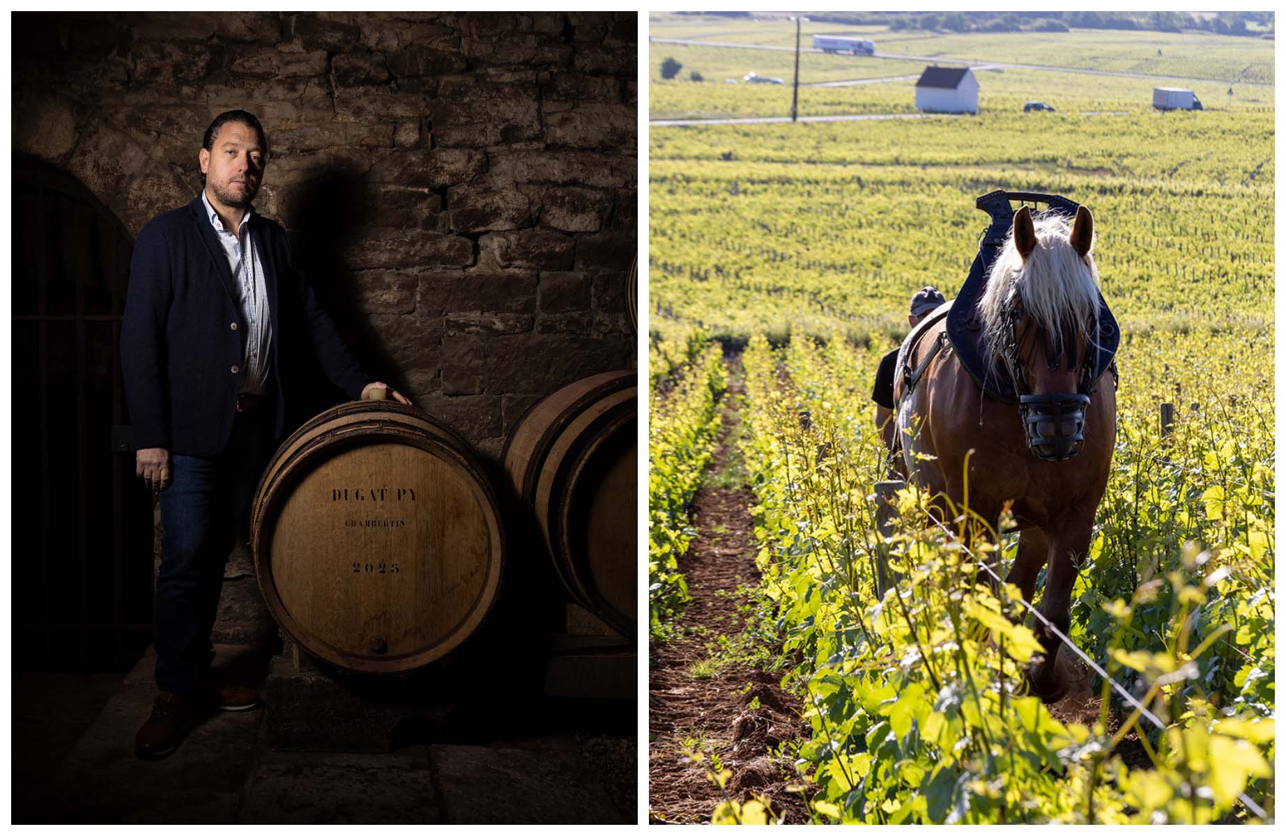 Loïc Dugat-Py in Gevrey-Chambertin. A vineyard plot belonging to the Roumier estate in Chambolle-Musigny. © Bénédicte MANIERE/Dugat-Py, © Bénédicte MANIERE/Roumier