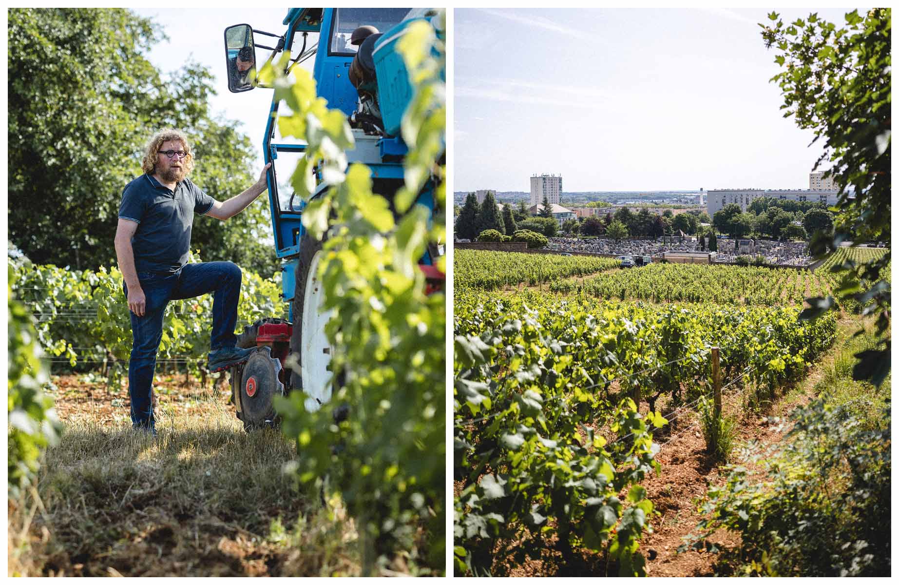Sylvain Pataille. A parcel of his estate in Marsannay-la-Côte. © Antoine Martel/MICHELIN Guide