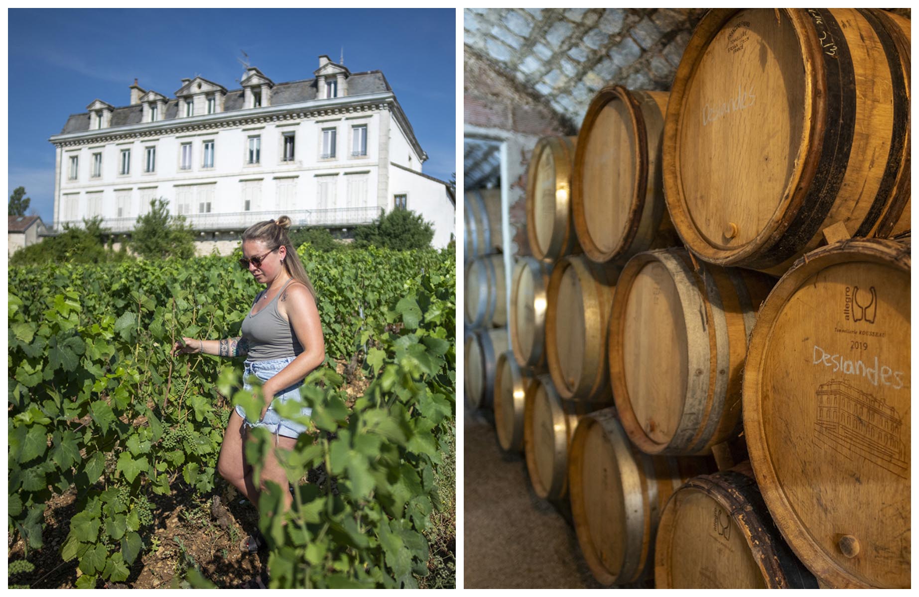 Camille Thiriet amongst her vines. The cellar of her estate. © Michel Baudoin 2026/MICHELIN Guide