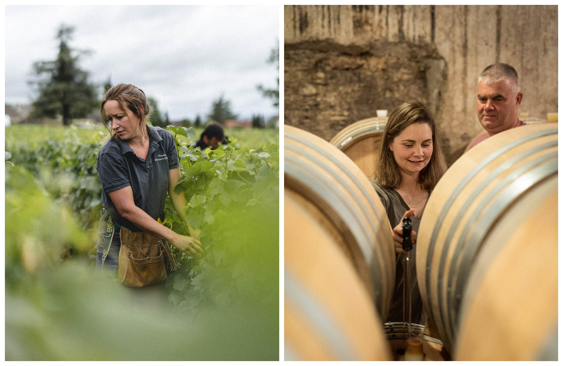 Amélie Berthaut in her vineyards in Fixin, and Gilbert and his daughter Pauline Felettig in their cellar in Chambolle-Musigny. ©Antoine Martel/MICHELIN Guide
