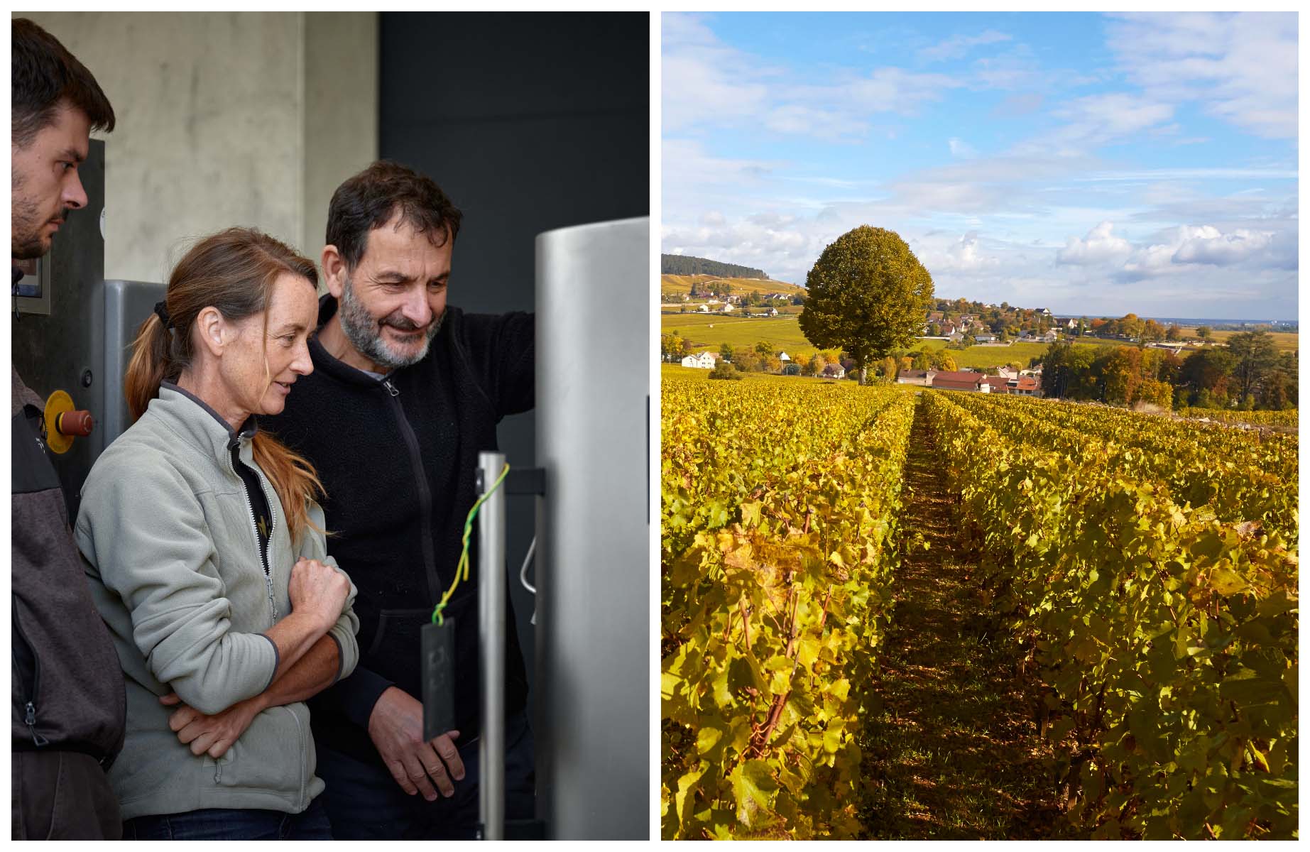 Jean-Marc Roulot and his team. The vineyard of the Roulot estate in Meursault. © Julie Limont/Roulot, © Muzard/Roulot